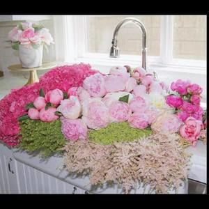 Meet your Posher, Robin